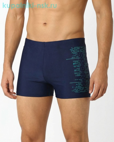 2219 Шорты купальные мужские (46-54) - Купальники-НСК. Купальники и плавки оптом и в розницу.