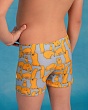 Плавки и Шорты купальные Aruna 2036 Шорты купальные для мальчика (3-12 лет) - 5