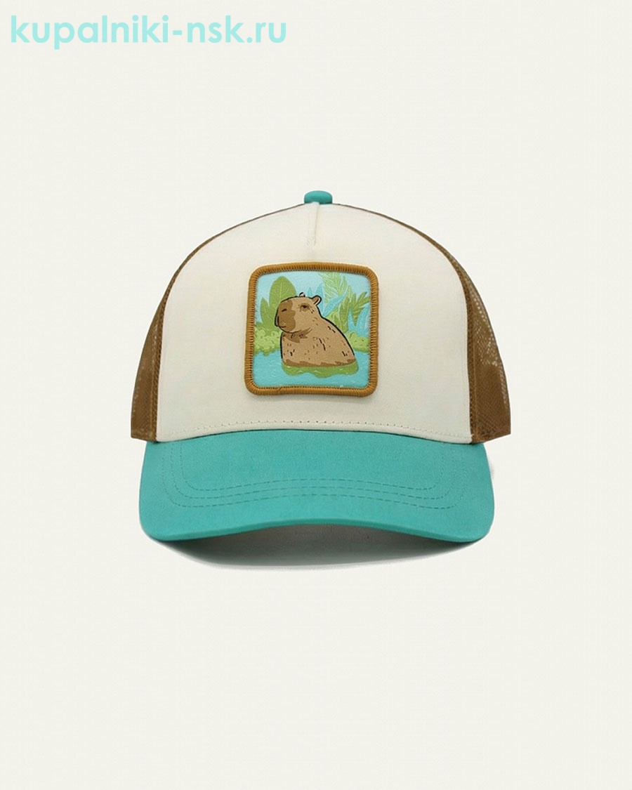 6047 Бейсболка для мальчика (50-54)