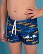 Плавки и Шорты купальные Aruna 2038 Шорты купальные для мальчика (3-12 лет) - 4
