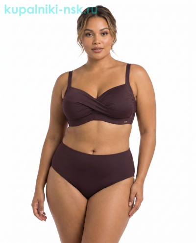 24311 B Купальник раздельный (48-54) - Купальники-НСК. Купальники и плавки оптом и в розницу.