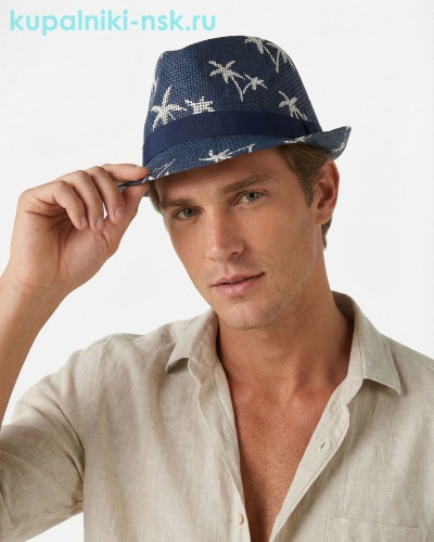 23804 Шляпа мужская (58) - Купальники-НСК. Купальники и плавки оптом и в розницу.