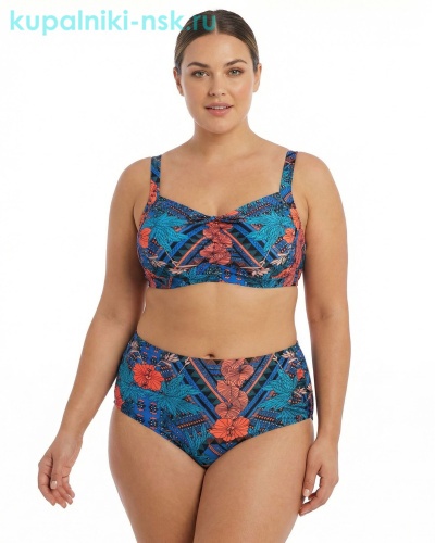 2189 Купальник раздельный (54-62) - Купальники-НСК. Купальники и плавки оптом и в розницу.