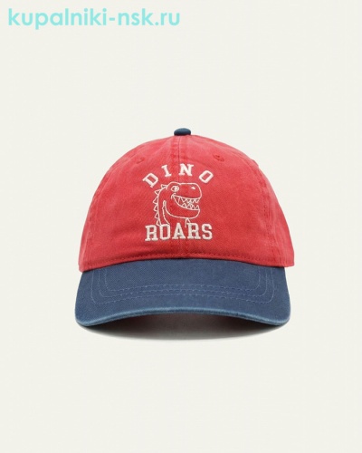 6041-MC Бейсболка для мальчика (50-54) - Купальники-НСК. Купальники и плавки оптом и в розницу.