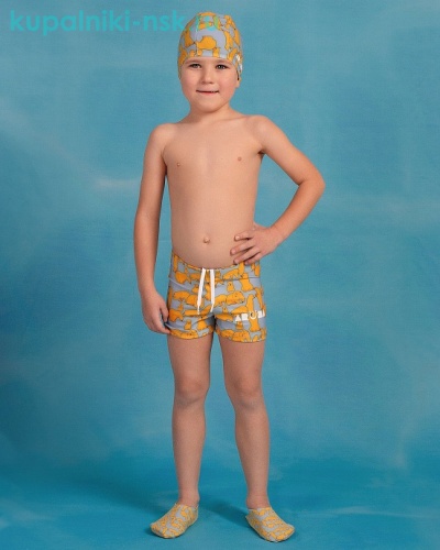 2036 Шорты купальные для мальчика (3-12 лет) - Купальники-НСК. Купальники и плавки оптом и в розницу.